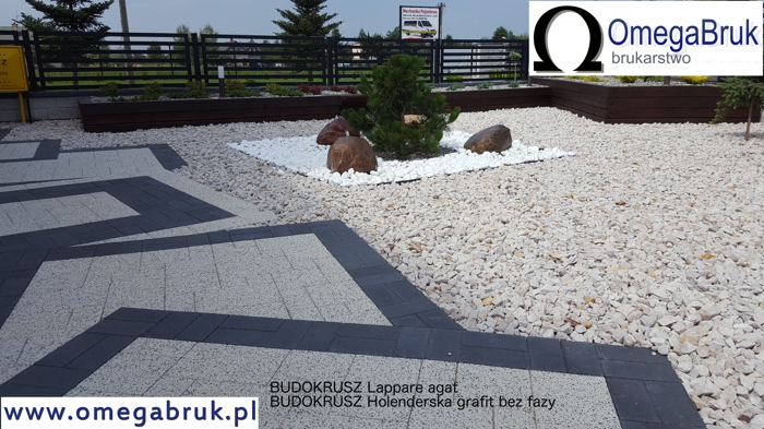 lappare_holenderska