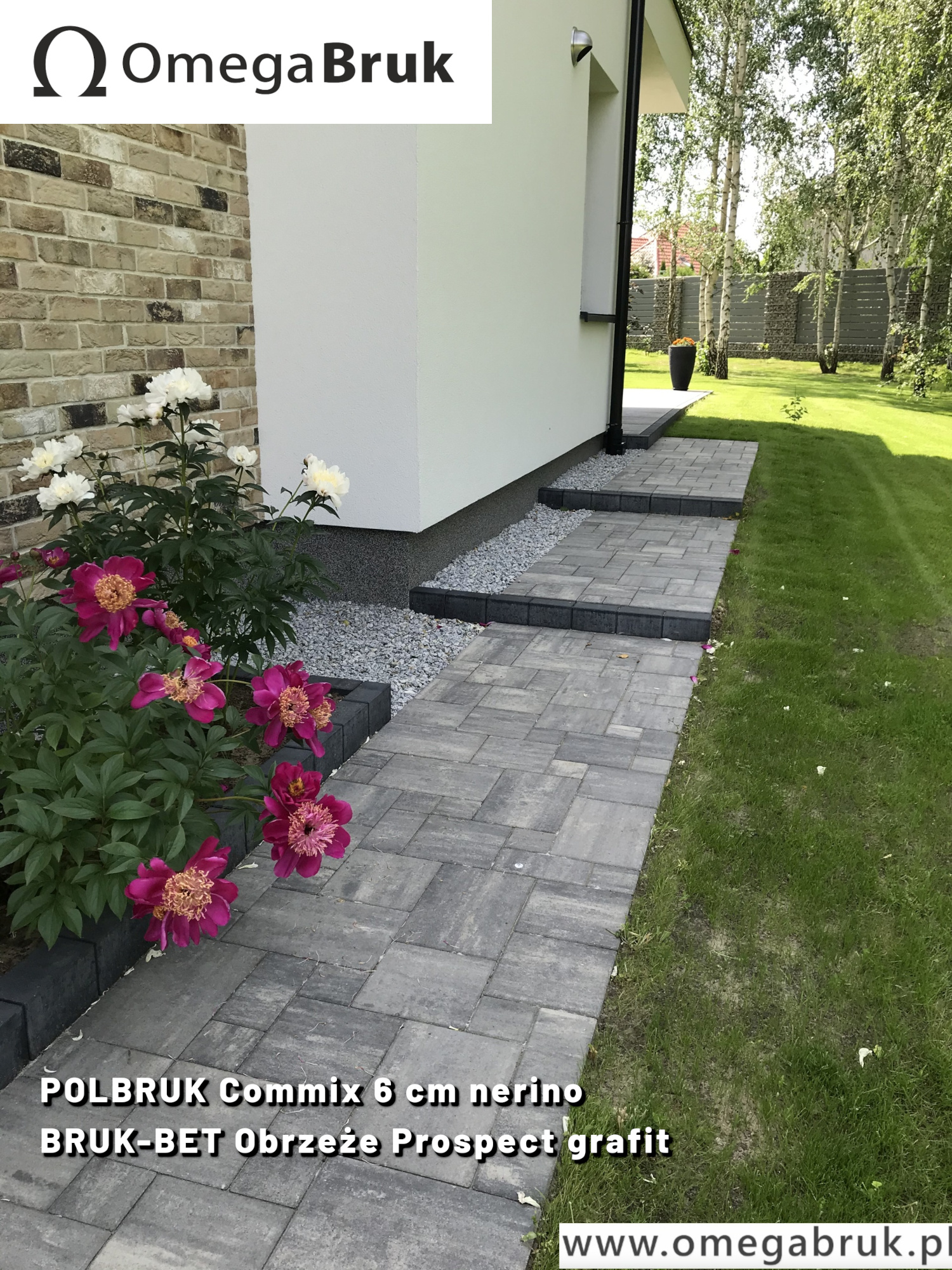 commix nerino111